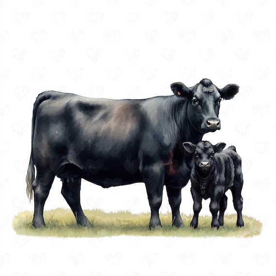 Black Angus Cattle PNG, Cow Silhouette (300 DPI)