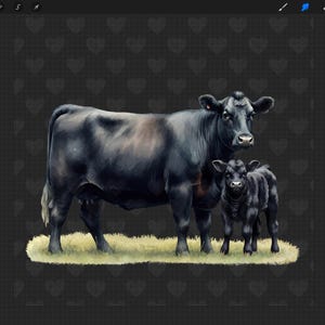 May include: A black cow and calf standing in a field of grass. The cow is larger than the calf and has a white spot on its side. The calf is smaller and has a white spot on its forehead.