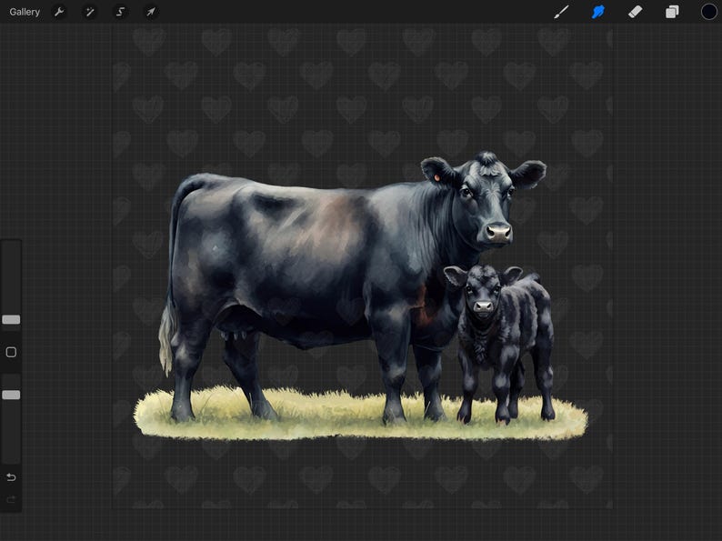 May include: A black cow and calf standing in a field of grass. The cow is larger than the calf and has a white spot on its side. The calf is smaller and has a white spot on its forehead.