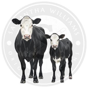 May include: A digital illustration of a cow and a calf. The cow and calf are black and white, with the cow standing next to the calf. The cow has a white face and the calf has a white face. The image has the text "SAMANTHA WILLIAMS ORIGINALS DESIGNS" in a circle around the image.