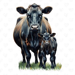 Puede incluir: Una vaca negra y su ternero están parados en un campo de hierba. La vaca es más grande y tiene una mancha marrón en su costado. El ternero es más pequeño y tiene una cara más redonda.