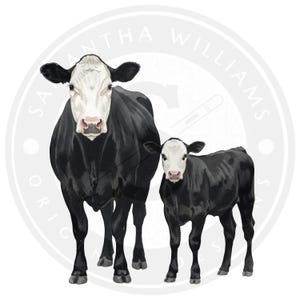 May include: A digital illustration of a cow and calf. The adult cow and calf are black with white faces. The image is set against a white background with the text "SAMANTHA WILLIAMS ORIGINALS" in a circular pattern.