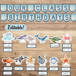 May include: A classroom birthday display set featuring the text OUR CLASS BIRTHDAYS and Editable in blue font. The set includes twelve watercolor sea creature illustrations representing each month, with blank blue rectangular name tags below.