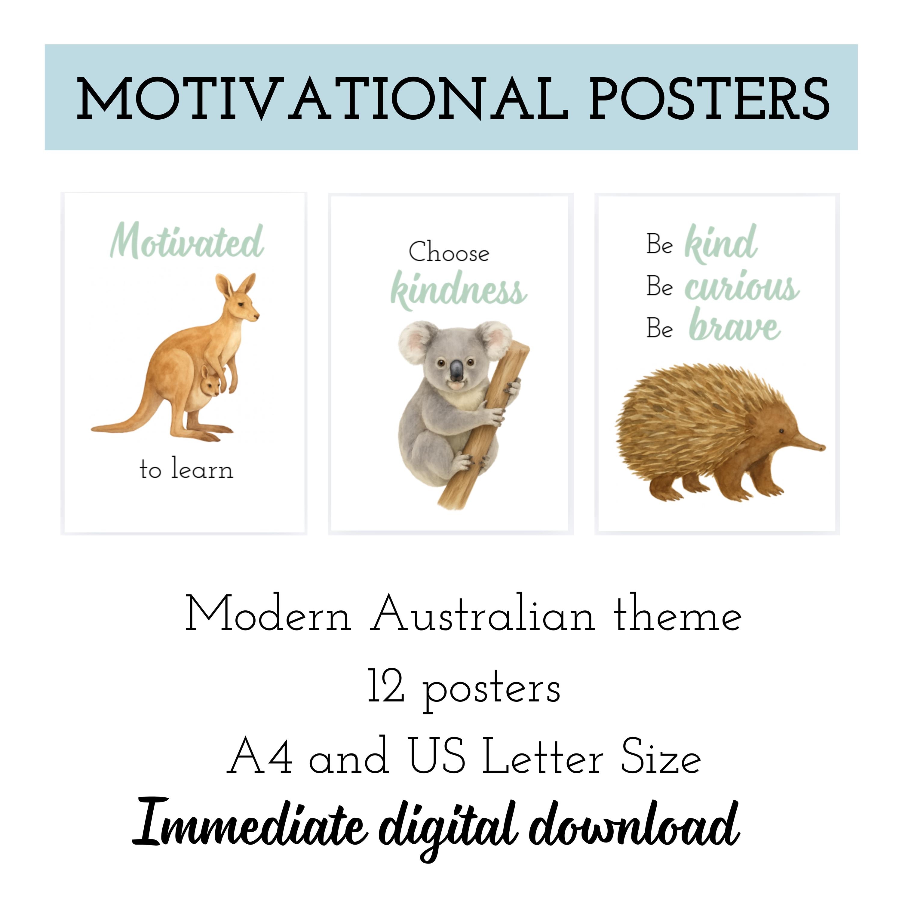 Australian Animal Bulletin Board, Modern Aussie Classroom Decor ...