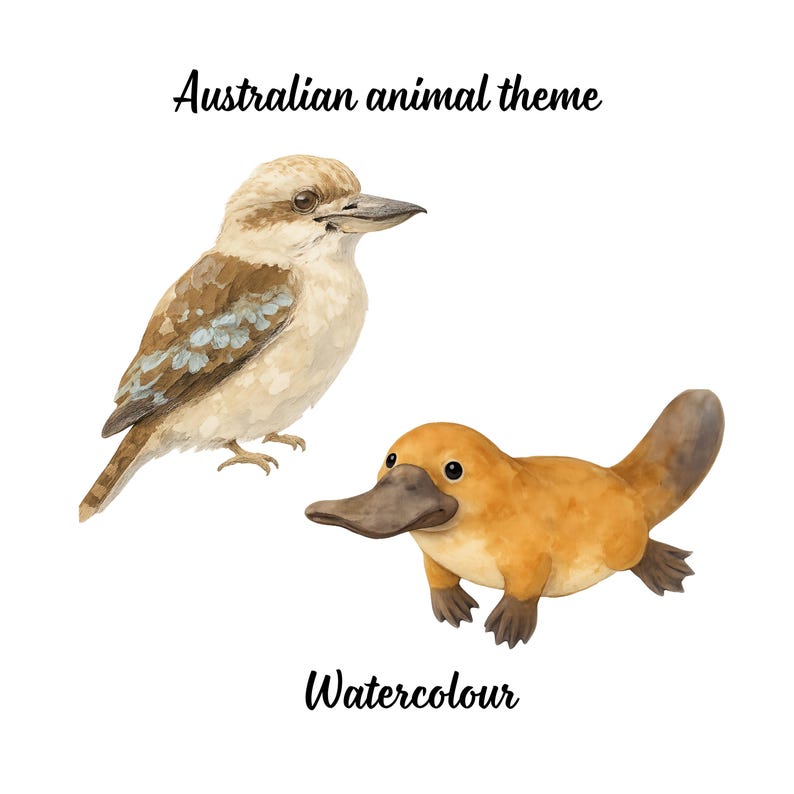 Australian Animal Bulletin Board, Modern Aussie Classroom Decor ...