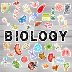 Puede incluir: Una colección de pegatinas con temática de biología que presentan ilustraciones de células, órganos, animales y la palabra "BIOLOGY" en letras negras en negrita. Las pegatinas son coloridas y detalladas, con una variedad de formas y tamaños, sobre un fondo de madera gris claro.