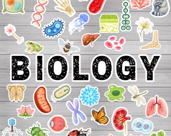 Biology Bulletin Board Kit, STEM display, Retro Science Classroom Decor (Digital Download)