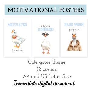 Posters motivants pour la salle de classe Goose, affiches pour la salle de classe sur l'état d'esprit de croissance, tableau d'affichage pour la classe à la ferme, décoration de salle de classe Silly Goose, commet des erreurs