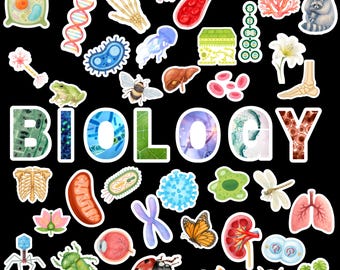 Biology Bulletin Board Kit, Science classroom poster (Digital Download), STEM display kit, Retro theme school