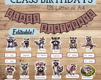 Raccoon Birthday Bulletin Board, Classroom Decor (Digital Download)