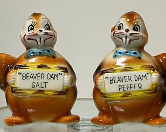 Kitschy Beaver Dam Vintage Salt and Pepper Shakers