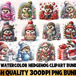 Watercolor Hedgehog Clipart Bundle, Christmas Hedgehog PNG, Animal Clipart, Printable Christmas Clip art, Cute Hedgehog Digital Download