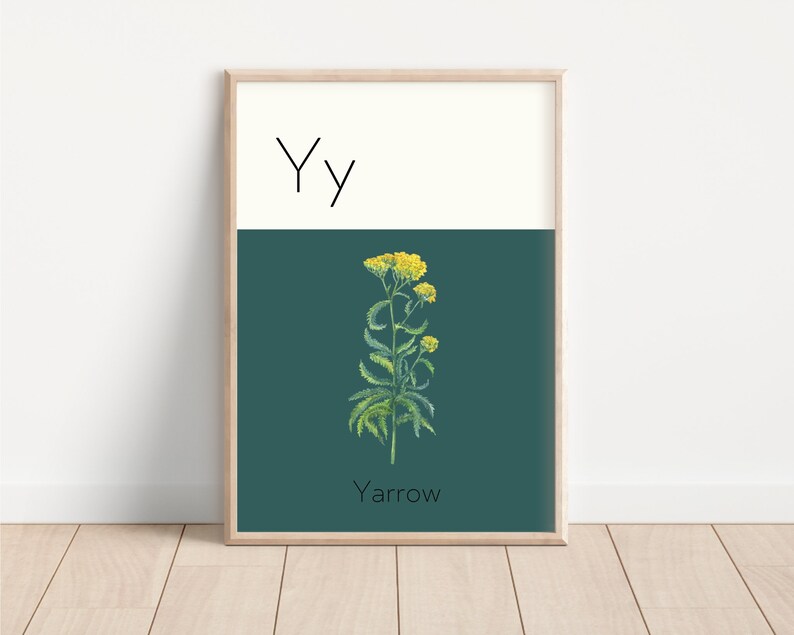 Nature Alphabet Poster Letter Y Poster Nursery Wall Art Etsy