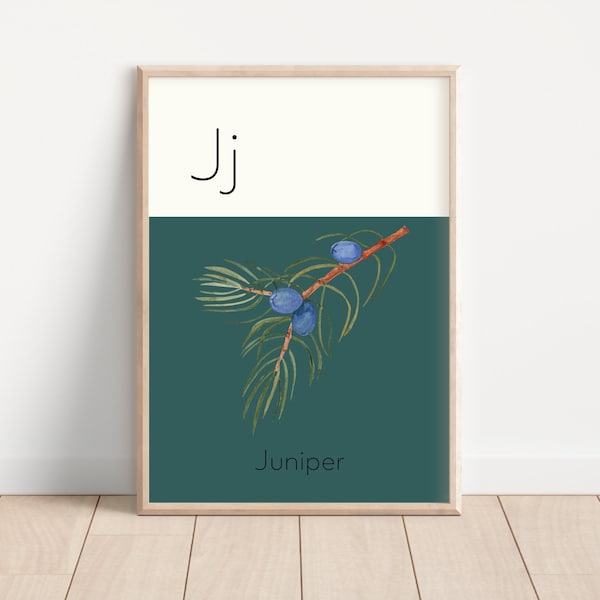 Nature Alphabet Poster • Letter J Poster • Nursery Wall Art • Educational Print • Alphabet Art • Kids Bedroom Decor • Printable • Woodland