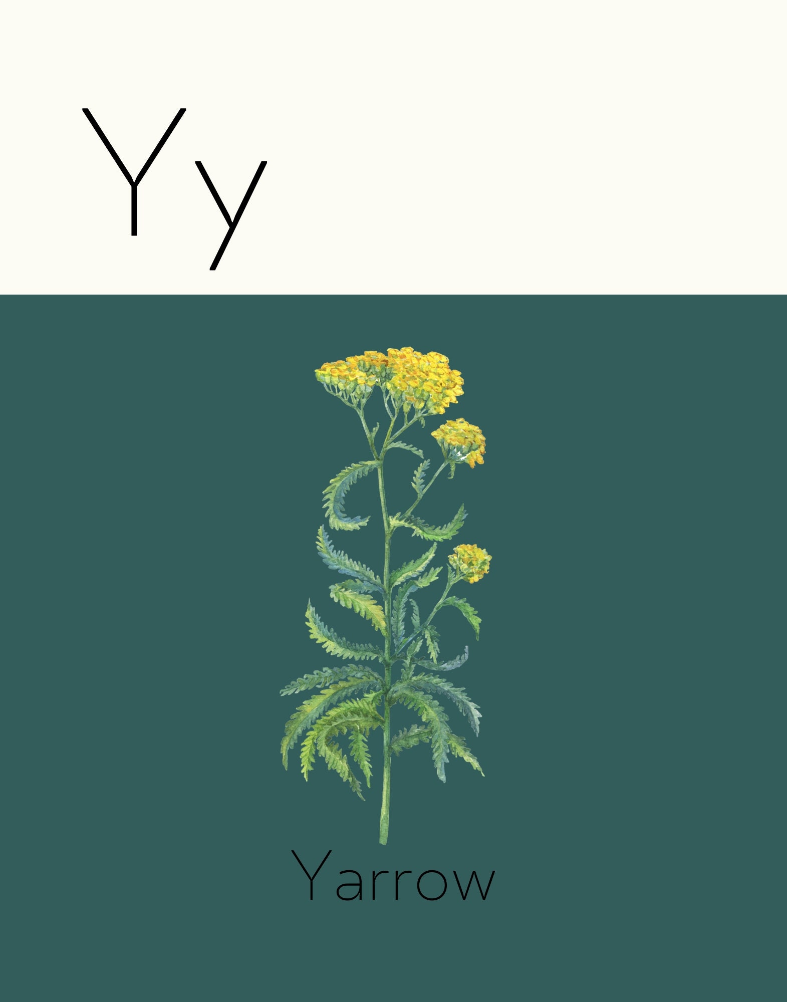 Nature Alphabet Poster • Letter Y Poster • Nursery Wall Art ...