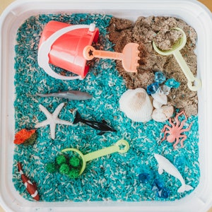 Sensory bin filled with rice, sensory sand, ocean creatures, sand bucket and tools, seashells, and more to engage kids and create opportunity for independent play!