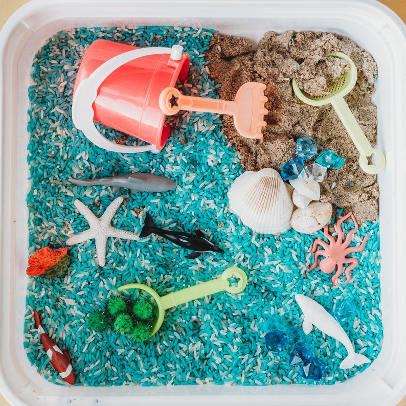 Sensory bin filled with rice, sensory sand, ocean creatures, sand bucket and tools, seashells, and more to engage kids and create opportunity for independent play!