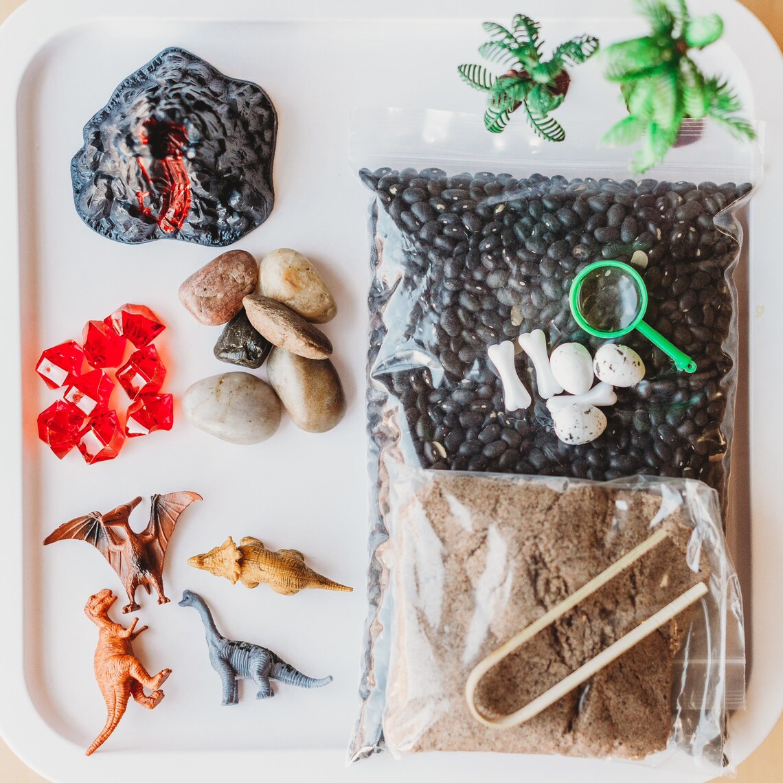 Dinosaur Play Kit | Dinosaur Sensory Bin | Gender Neutral Play ...