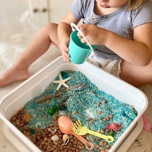 Ocean Play Kit Ocean Sensory Bin Under the Sea Play Montessori Toy Kids Gift Toddler Activities Gift for Toddlers Busy Box with pinto beans