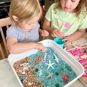 Ocean Play Kit Ocean Sensory Bin Under the Sea Play Montessori Toy Kids Gift Toddler Activities Gift for Toddlers Busy Box image 6