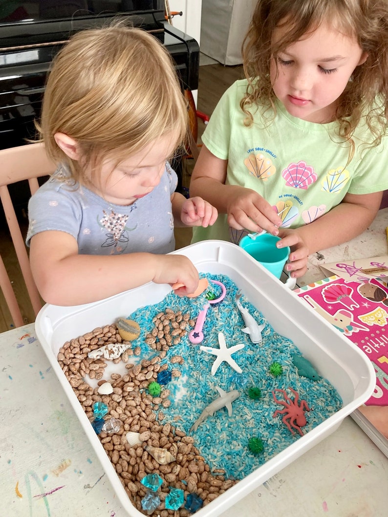 Ocean Play Kit Ocean Sensory Bin Under the Sea Play Montessori Toy Kids Gift Toddler Activities Gift for Toddlers Busy Box image 6