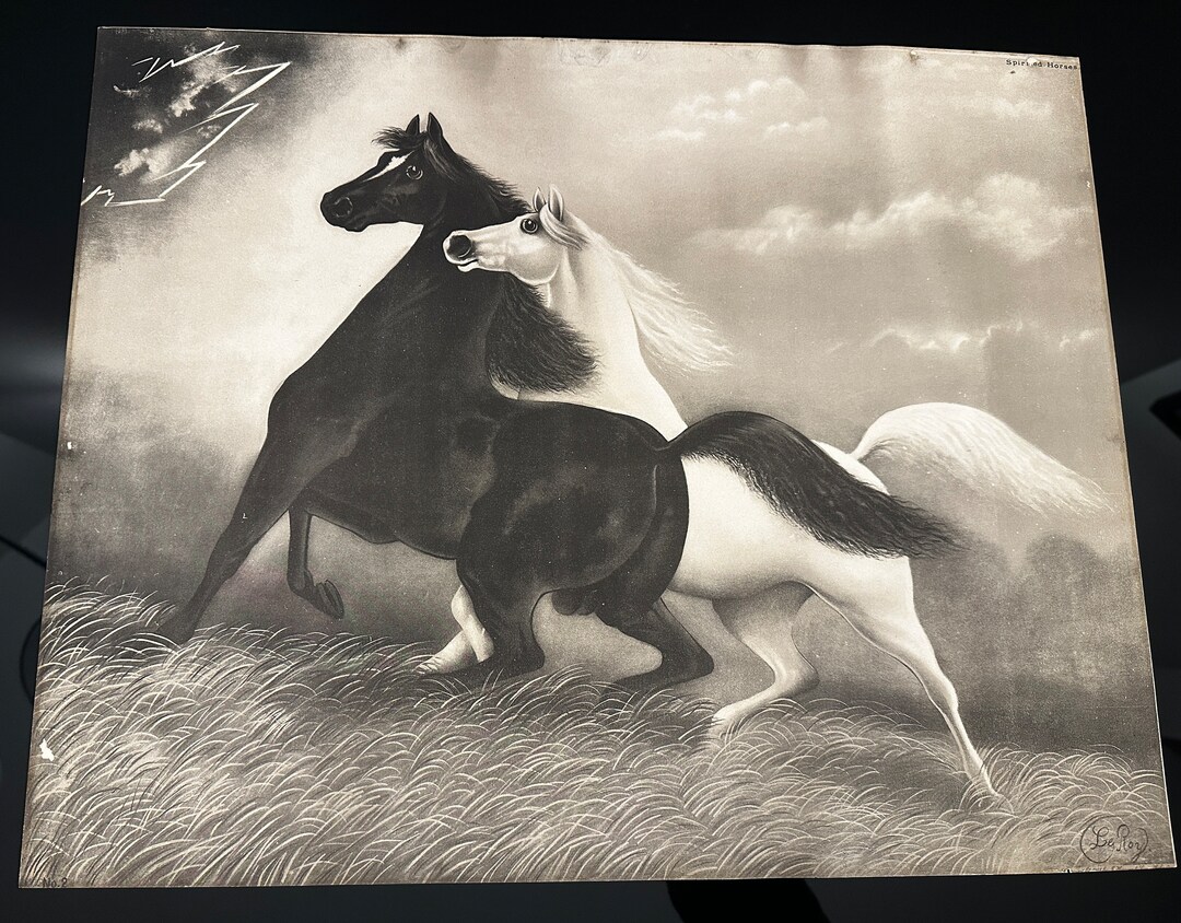 Original Art Spirited Horses No.2 Leroy, 1904 Print, 20 X 16, B&W Etsy