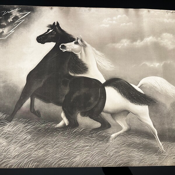 Spirited Horses Etsy