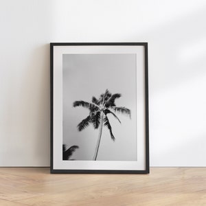 Black White Palm Tree Print, Wall Art, Beach Print, Summer Art, Tropical Wall Art, Minimalist Large Printable Poster, Coastal Art Prints