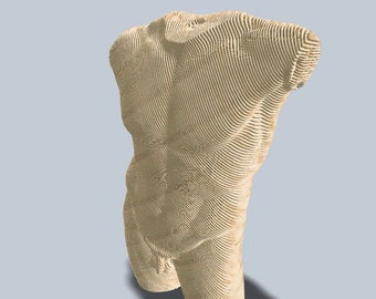 Cardboard Sculpture Template - Etsy UK