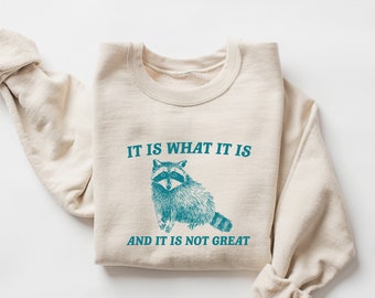 It Is What It Is And It Is Not Great Sweatshirt and Hoodie, Mental Health Sweatshirt, Funny Sweatshirt Women, Meme Sweatshirt, Raccoon Shirt