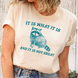 It Is What It Is And It Is Not Great Sweatshirt and Hoodie, Mental Health Sweatshirt, Funny Sweatshirt Women, Meme Sweatshirt, Raccoon Shirt