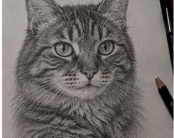 Individuelle Haustierporträtzeichnung nach Foto, realistisches Graphitstiftporträt, personalisiertes handgezeichnetes Geschenk, individuelle Bleistiftkunst