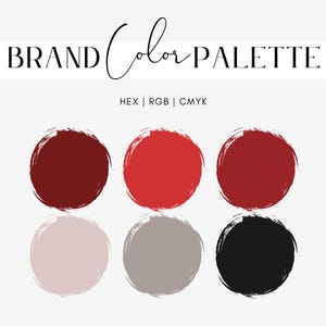 May include: Brand color palette with six color swatches. The colors are burgundy, red, dark red, light pink, gray, and black. The text "BRAND Color PALETTE" is at the top of the image. The text "HEX | RGB | CMYK" is below the color swatches.