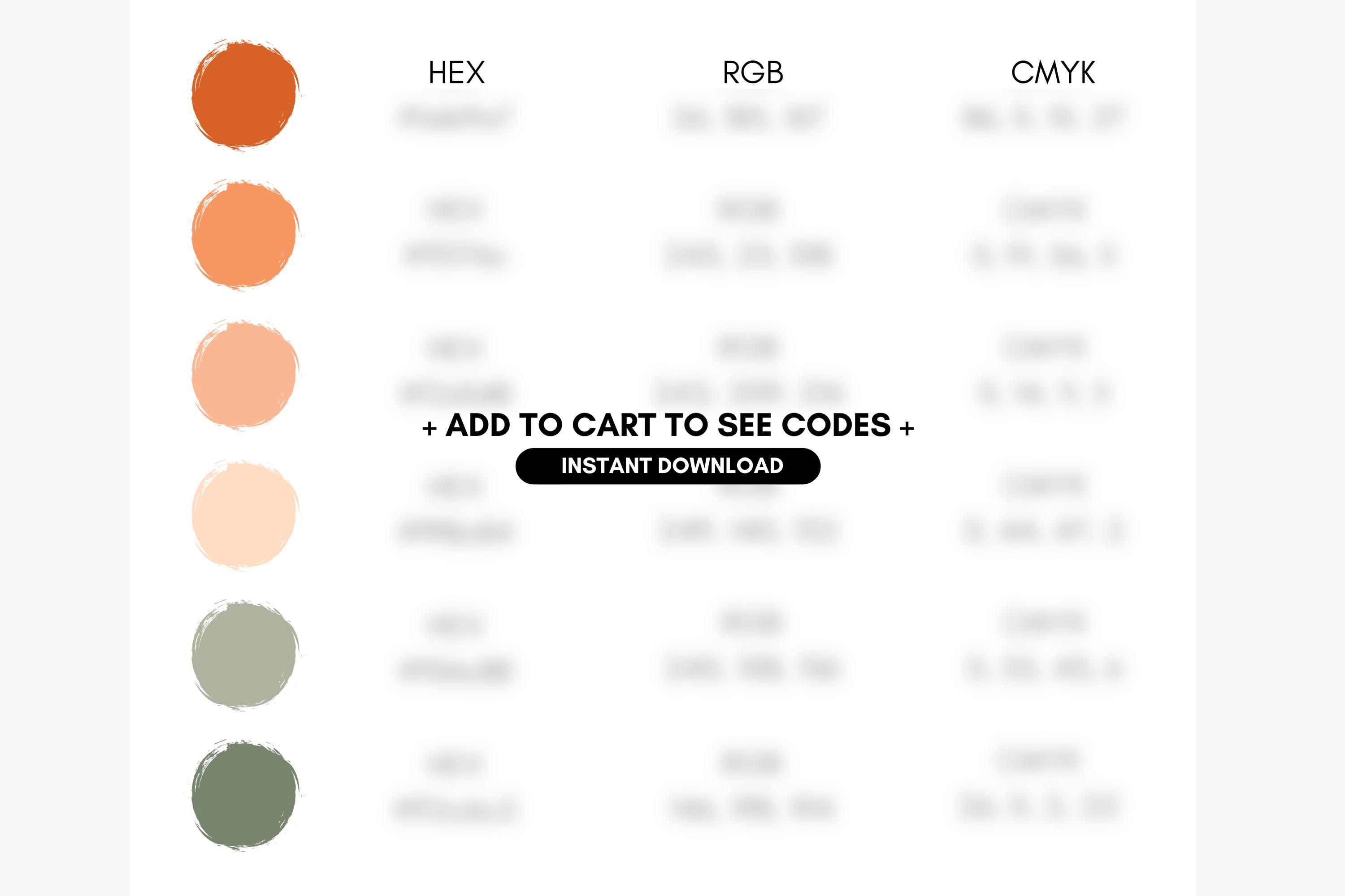 Bright Boho Color Palette, Burnt Orange, Peach, Sage Green, Branding ...