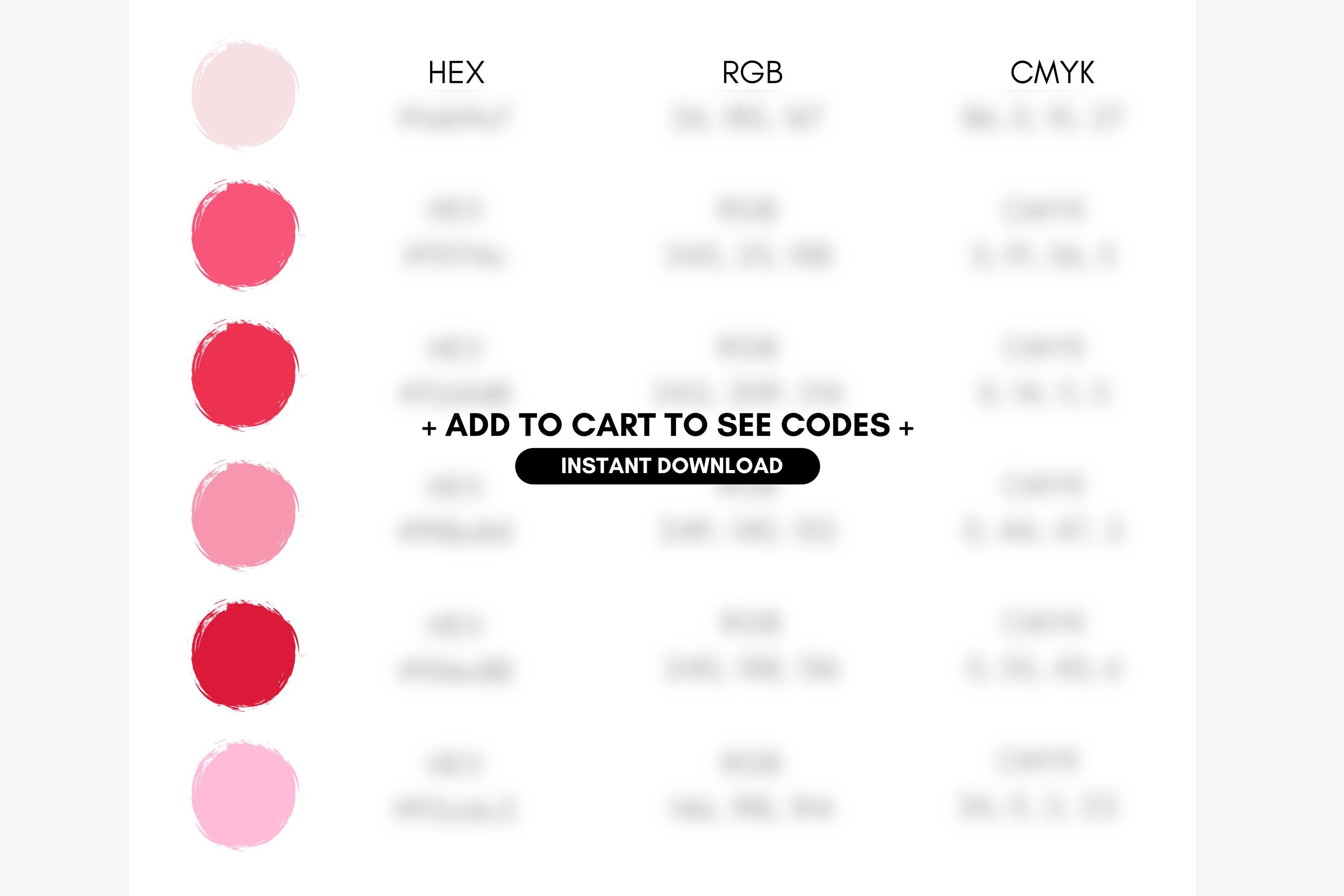 Bright Pink Shades, Blush Rose Color Palette, Valentine Brand Colors ...