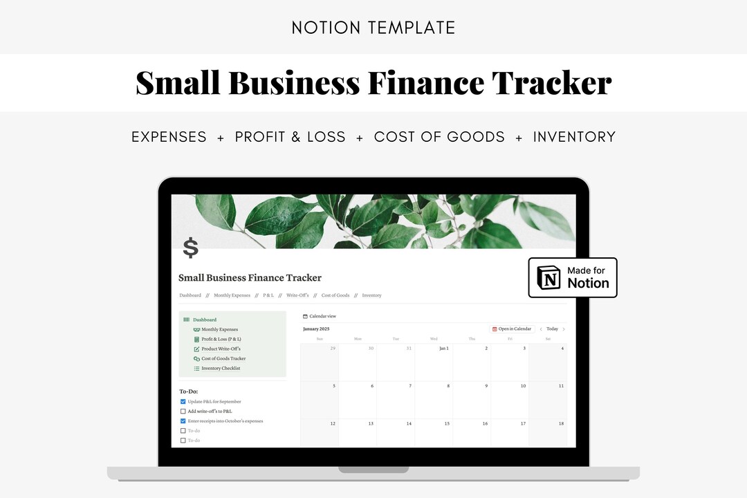 Small Business Finance Tracker Notion Template (digital Download) - Etsy