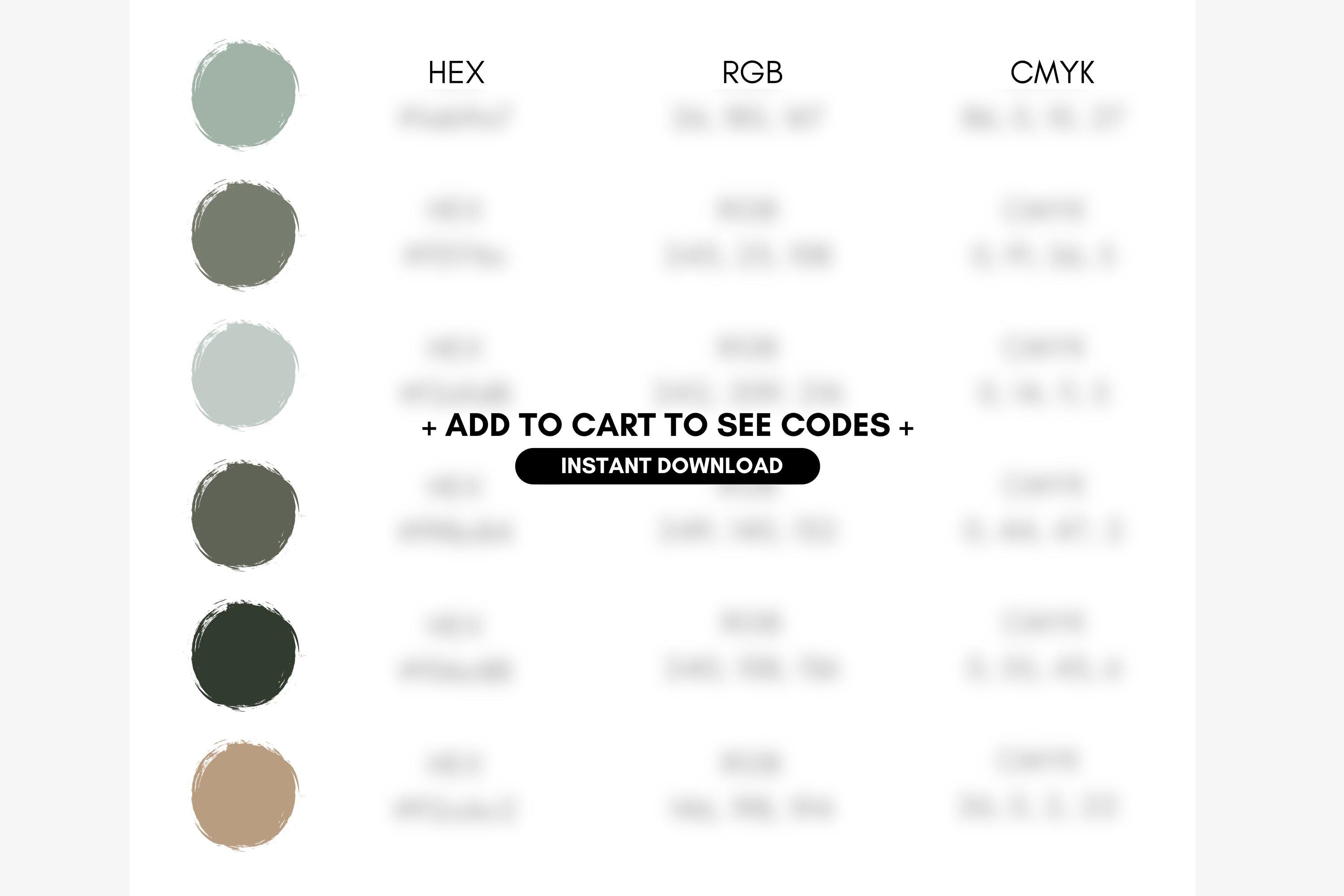 Soothing Shades of Green Color Palette, Branding for Wellness Coach ...