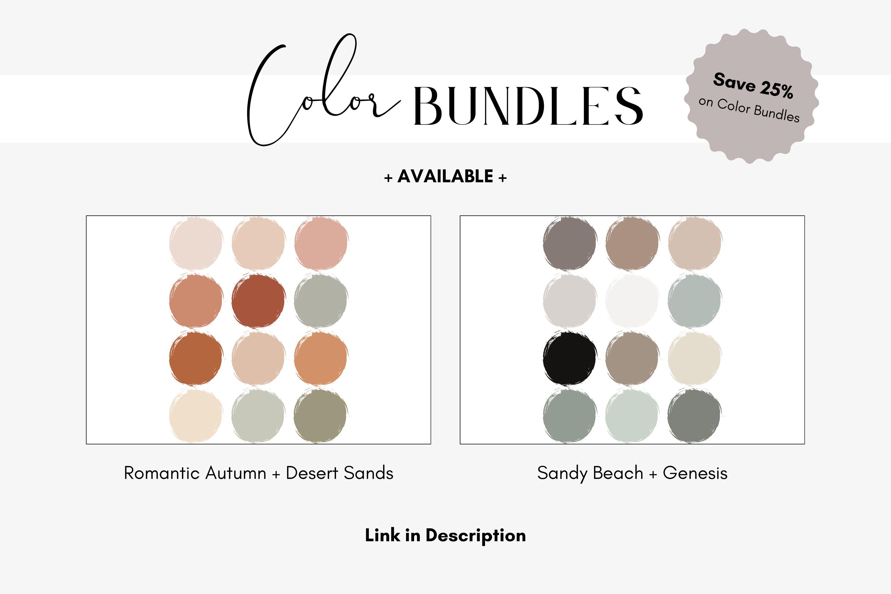 Rustic Rgb Rustic Petals Brand Color Palette, Boho Earth Tone Aesthetic, Blush ...