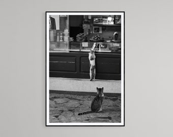 Katzen von Istanbul Fotografie Druck GRÖßE OPTIONEN Straße Stray Cats Kätzchen Katzendame Besitzer Liebhaber Geschenk Idee Monochrome Schwarzweiß Kunst