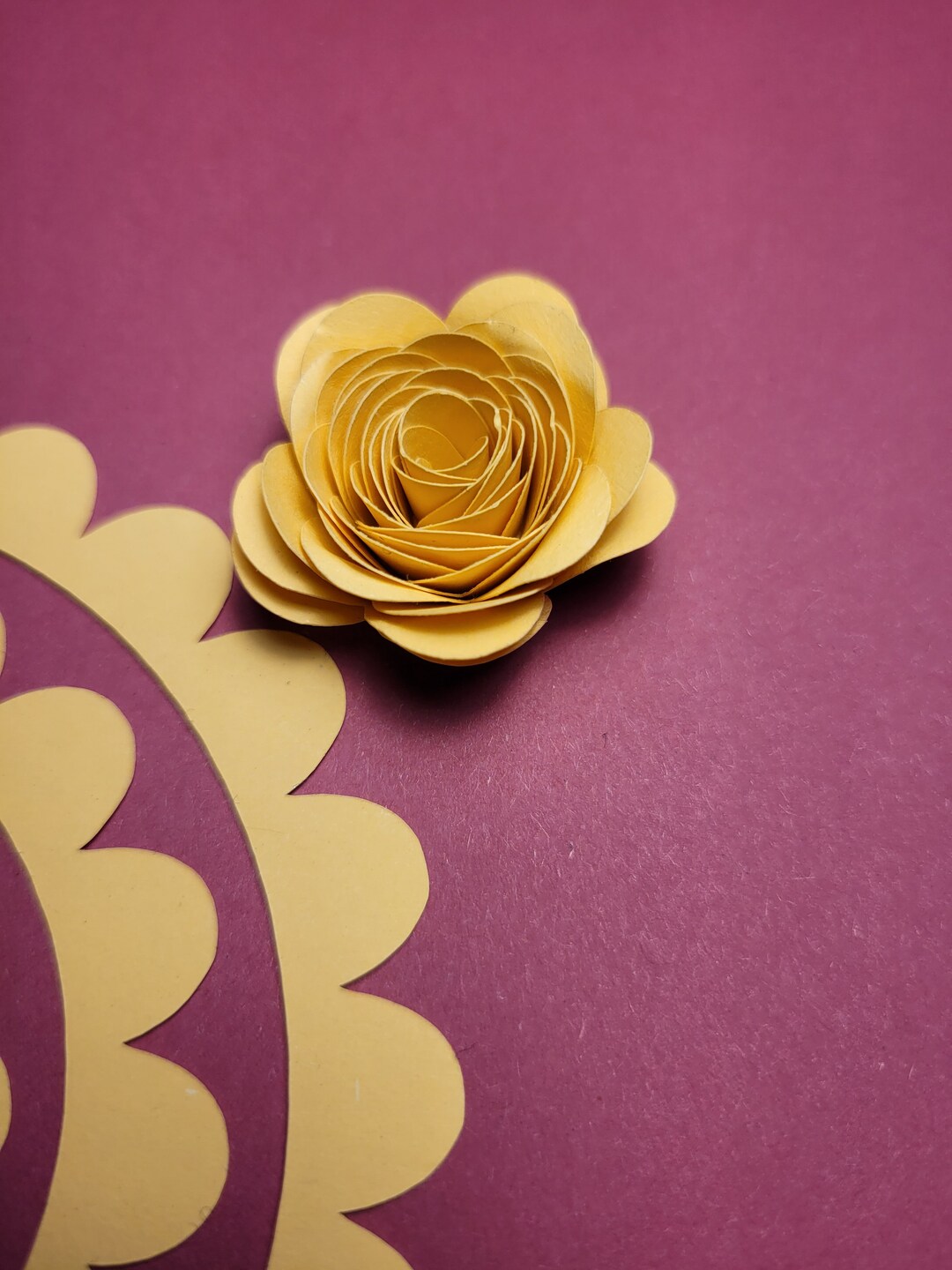 Rolled Flower SVG Flower Template Paper Flowers Cardstock Etsy