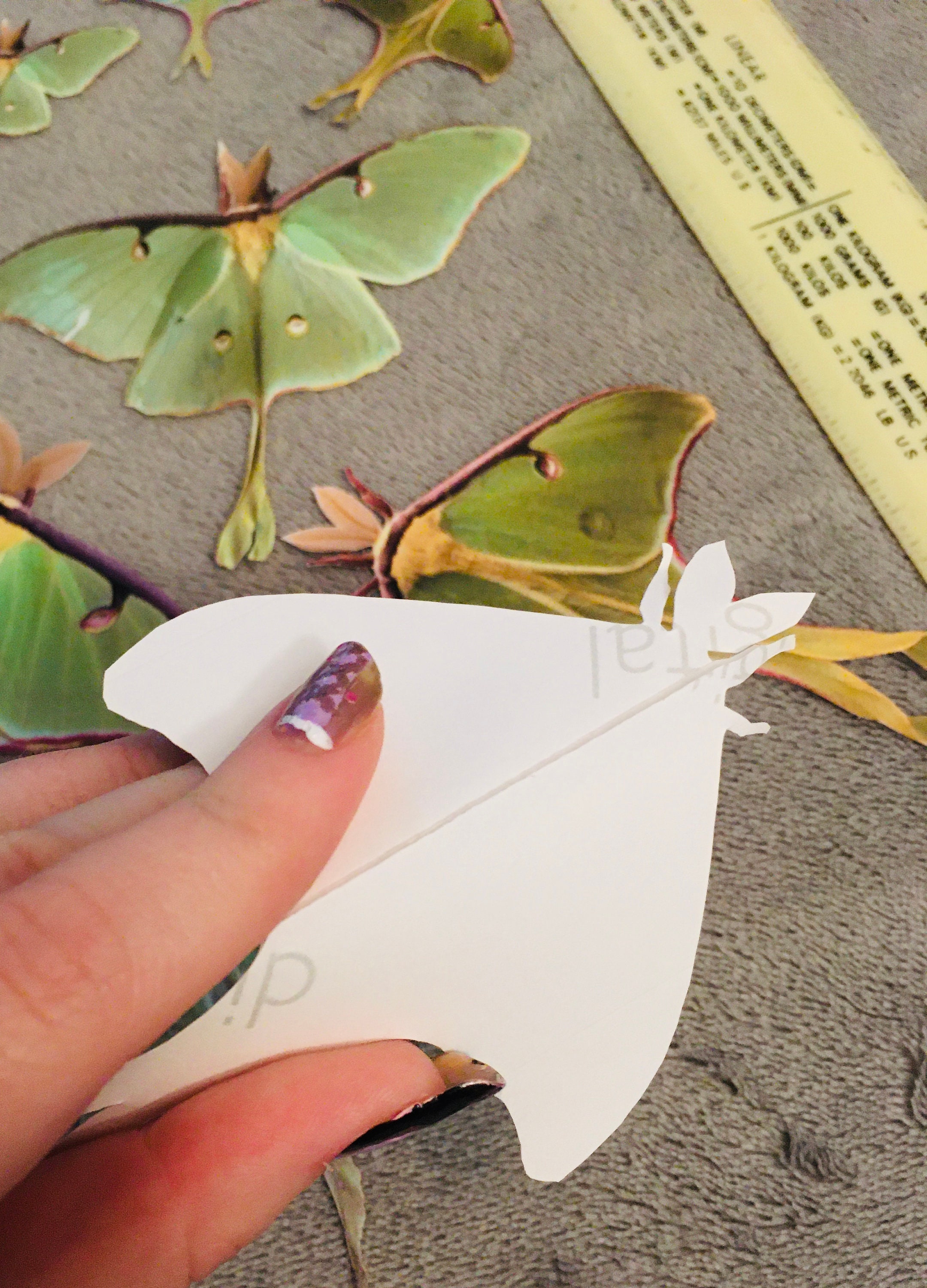 Sticker : New Beginnings; Luna Moth with Mushrooms – CherieSmittleArt