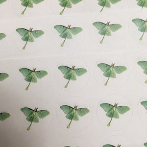 ルナ 蛾 ステッカー 封筒 シール 文字 蝶 昆虫 虫 円