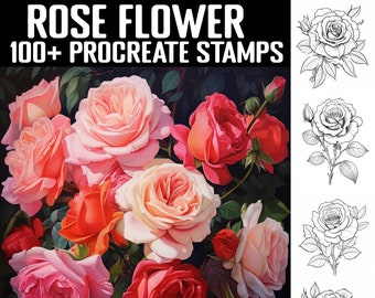 Más de 100 sellos de rosas de Procreate / Guías de rosas / Descarga digital instantánea