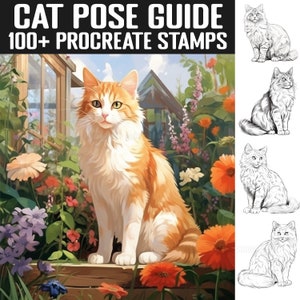 100+ Cat Procreate Stamps | Cat Character guides | Instant Digital Download