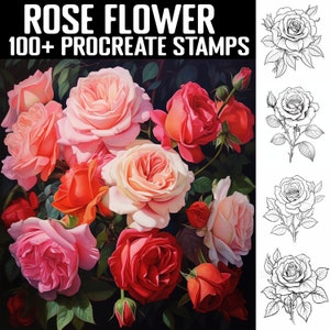 100+ Procreate Rose Stamps | Rose Guides | Instant Digital Download