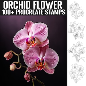 100+ Procreate Orchid Flower Stamps | Orchid Guides | Instant Digital Download
