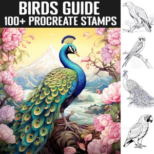 100+ Birds Procreate Stamps | Bird guides | Instant Digital Download