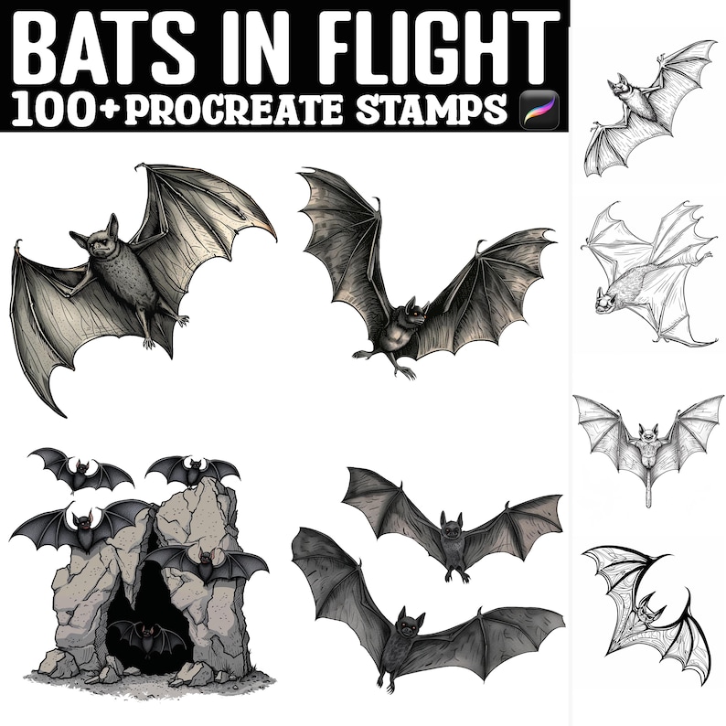 100+ Bats in Flight Procreate Stamps | Procreate Brushes | Instant ...