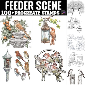 May include: An illustration with the text "FEEDER SCENE 100+ PROCREATE STAMPS". The image features various bird illustrations, including a bird perched on a fountain, birds near a lantern, and birds in flight. The style is detailed and artistic.