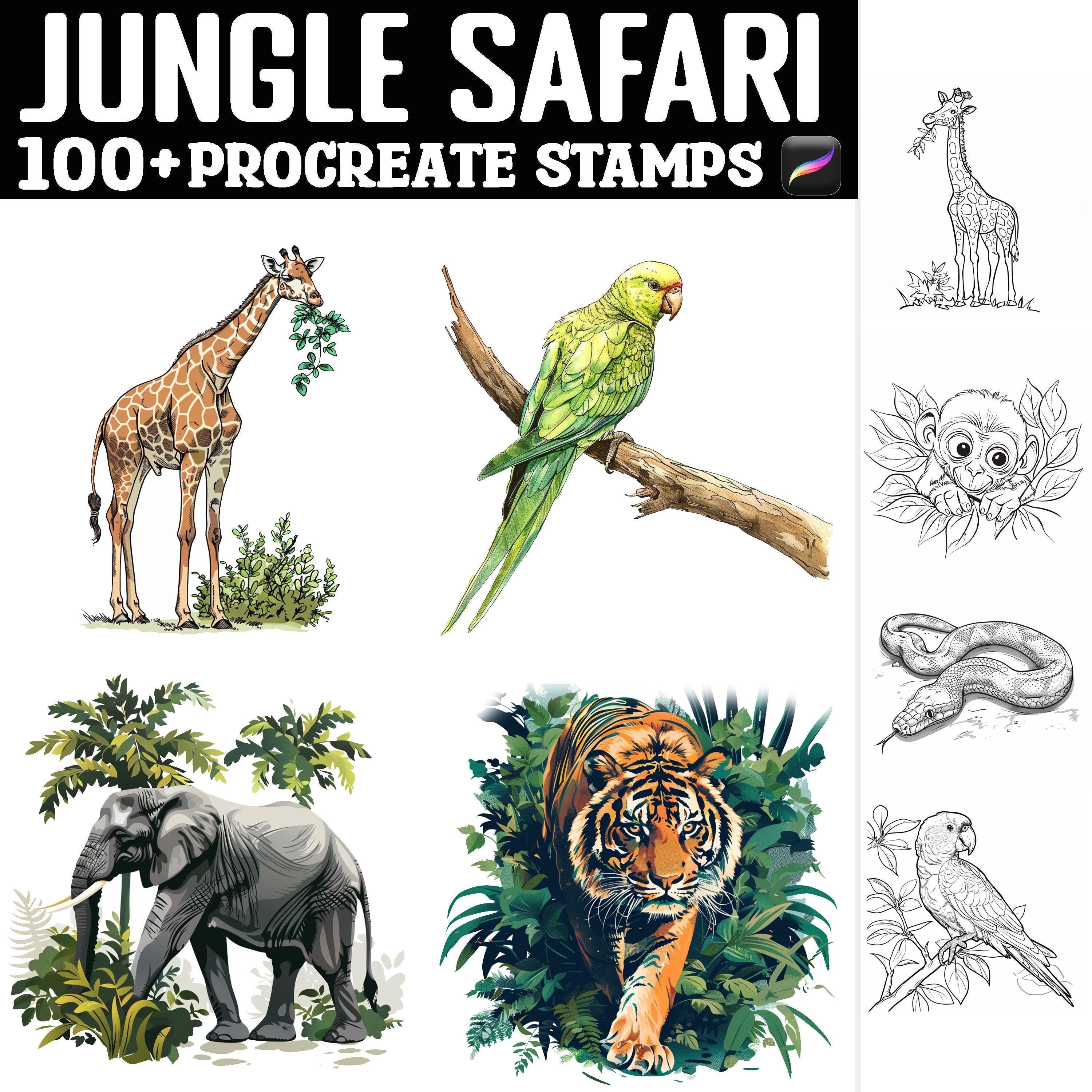 100+ Jungle Safari Procreate Stamps | Procreate Brushes | Instant ...